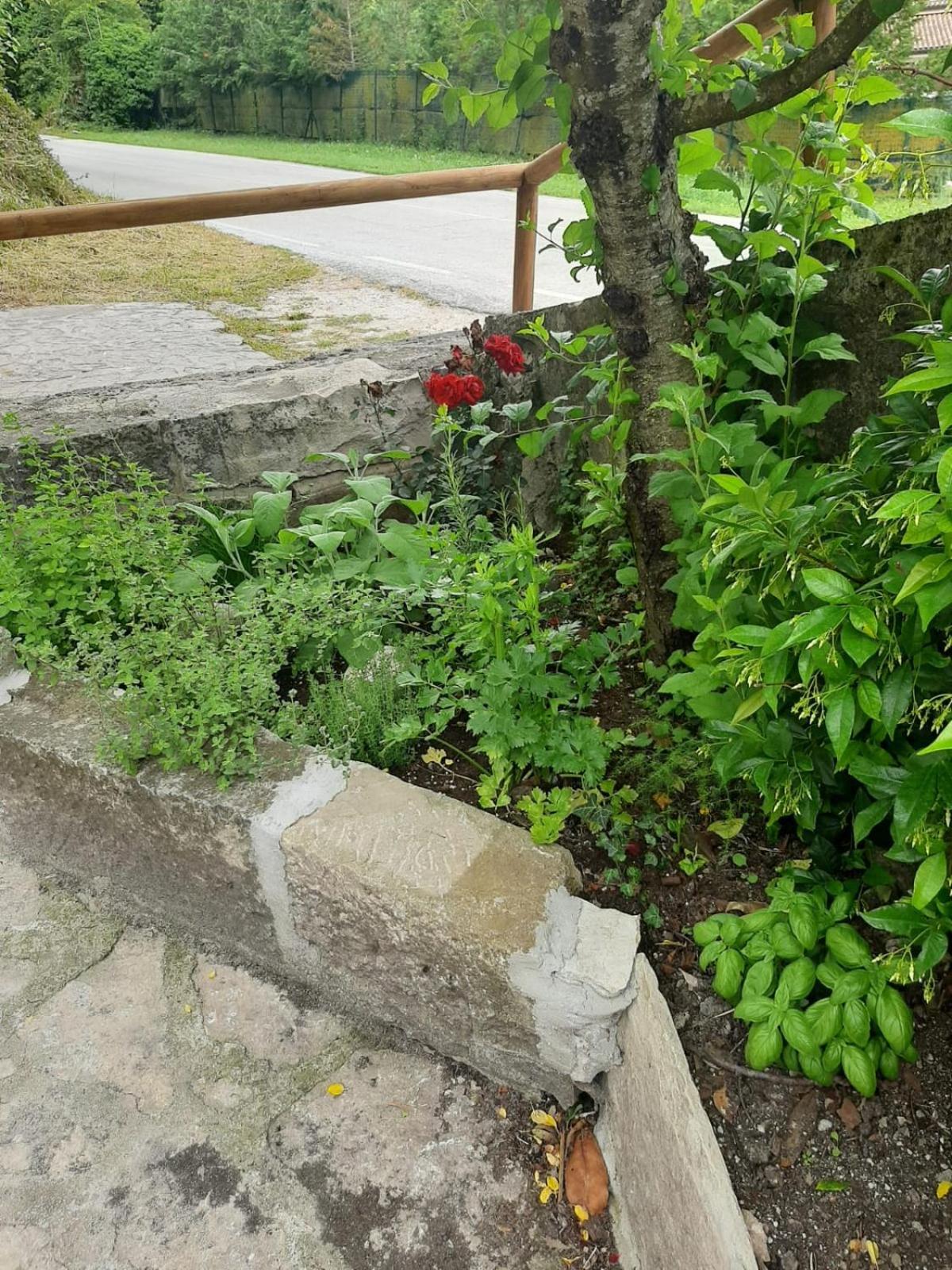 דירות Carpinone Il Caminetto מראה חיצוני תמונה