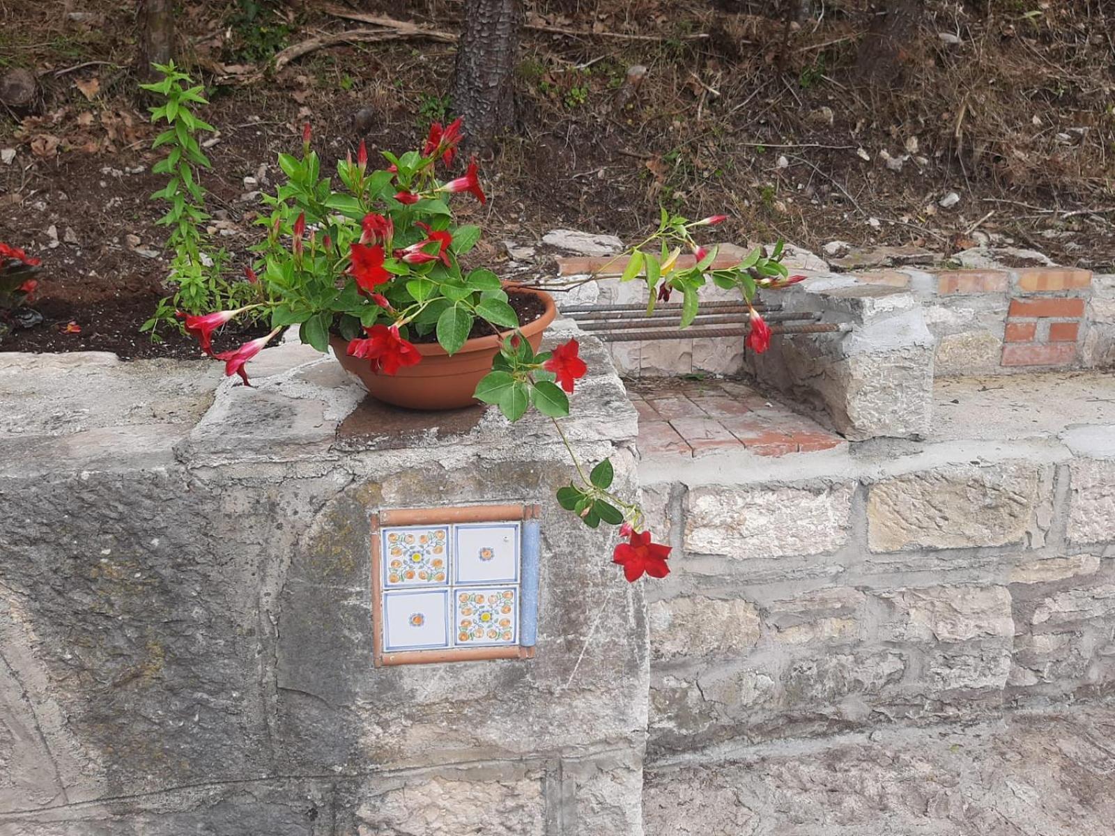 דירות Carpinone Il Caminetto מראה חיצוני תמונה